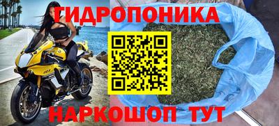 сатива Бузулук