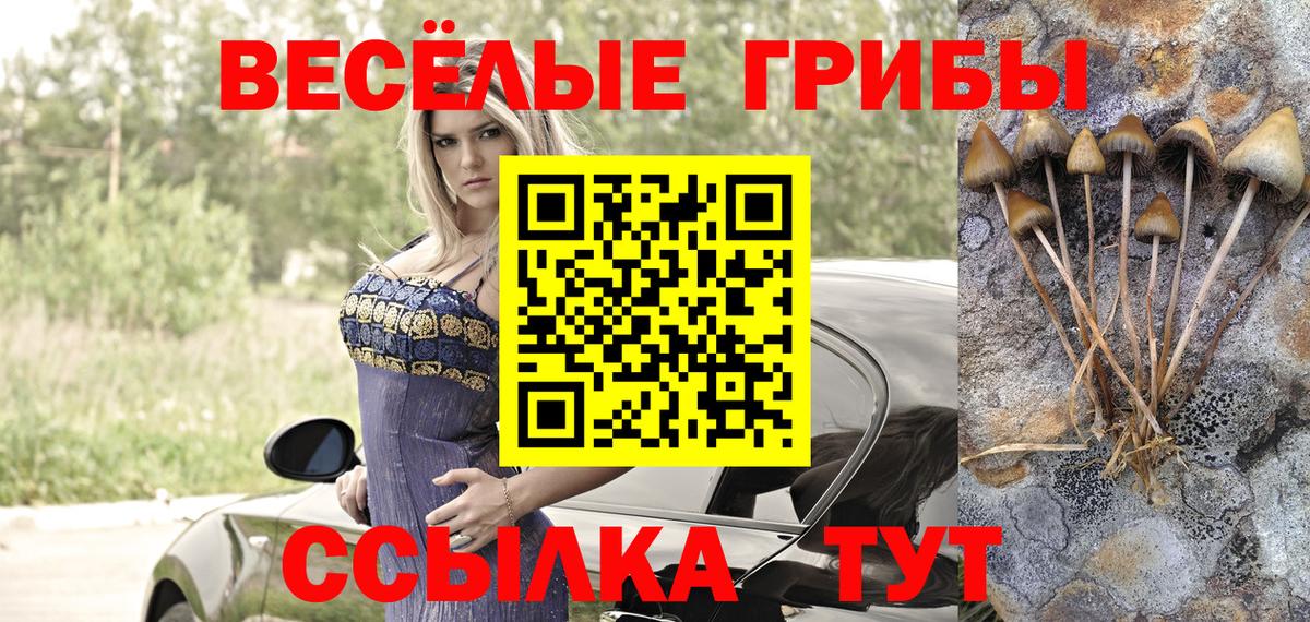 Псилоцибиновые грибы Magic Shrooms  Вход с VPN  Нарткала 